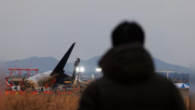 航空业全年夺318条命 写下2018年以来新高