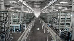 Related article image