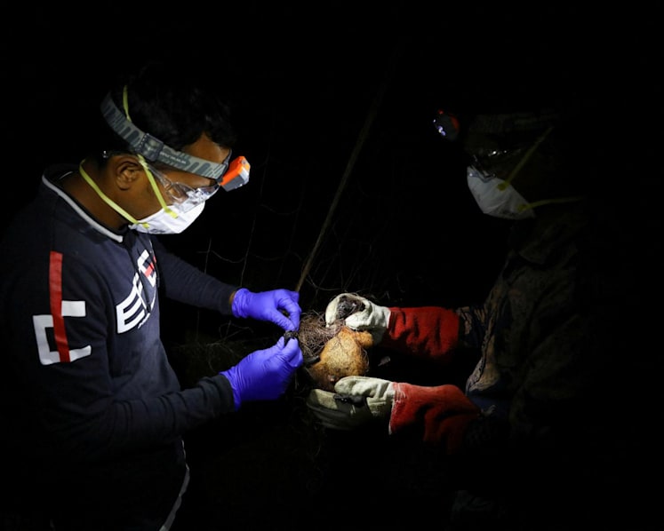Singapore monitoring Nipah virus case reported in Bangladesh; no cases here