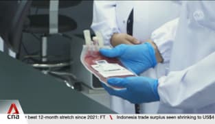 Cord blood banks see surge in calls after Cordlife's latest lapses 