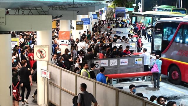 越来越多年轻国人 选乘私巴和租车赴马旅游