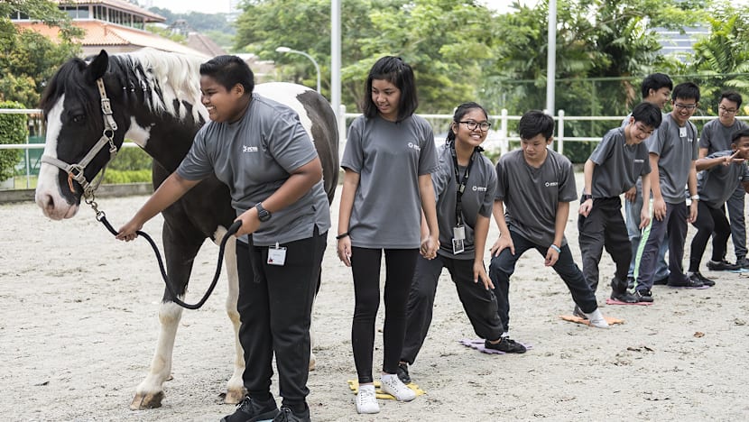 Sunday Spotlight: With care and creativity, Crest and Spectra groom a new generation of students