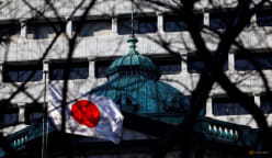 Japan's business mood holds up but US tariff worries grow, survey shows