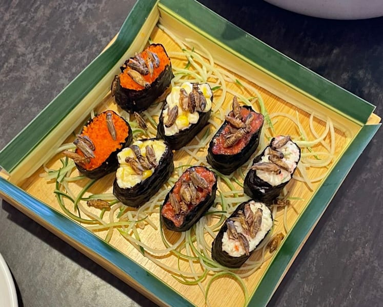 Fancy some crispy crickets on sushi rolls? Singapore to approve insects for food as early as July: Sources