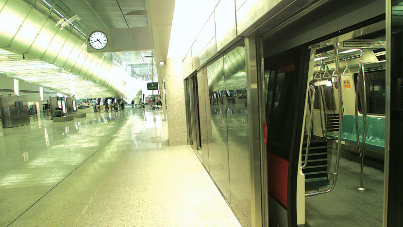 Slower train service to Changi Airport MRT Station until Jan 21, after crack spotted on track