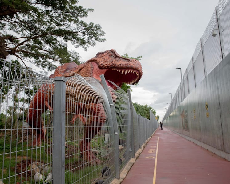 New 3.5km cycling, jogging path linking East Coast Park and Changi Airport launched