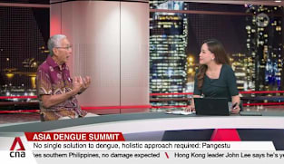 Professor Tikki Pangetsu on dengue situation in Singapore and the region 