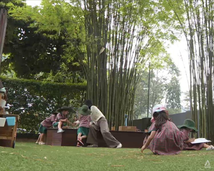Haze risk in Singapore: Preschools ready to move activities indoors if air quality worsens