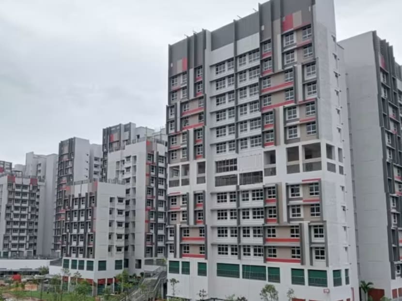 Completed in December 2023, Plantation Grange is among the first housing projects in Tengah to be delivered to residents. 
