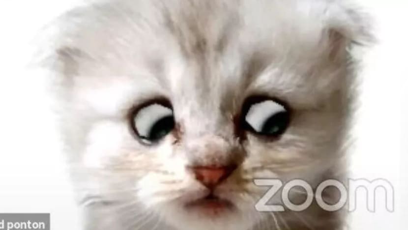 Gambar Pilihan Hari Ini