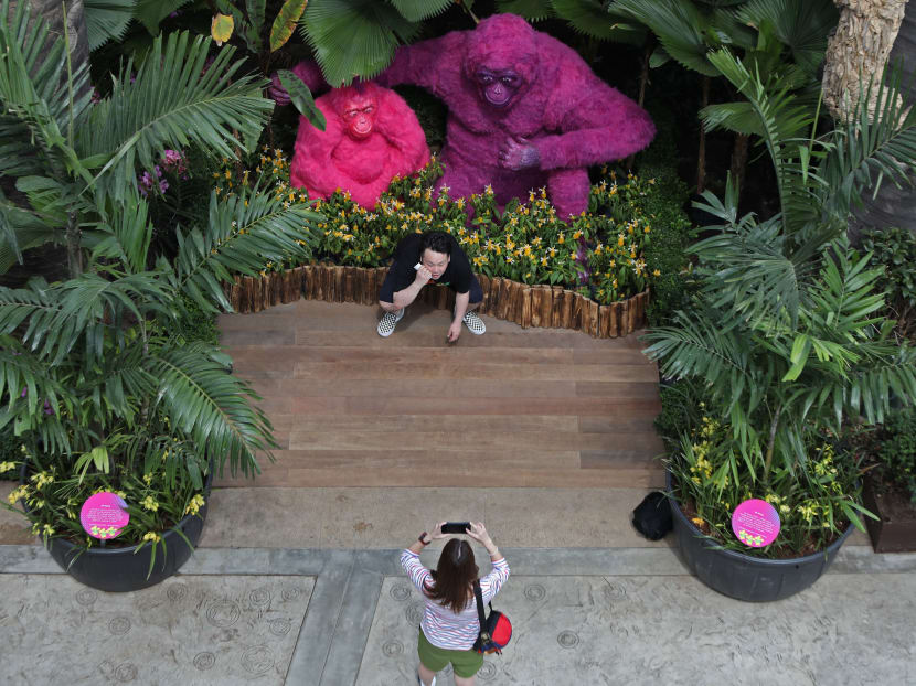 Giant ‘SingaPop’ floral displays, free shows at Gardens by the Bay in August