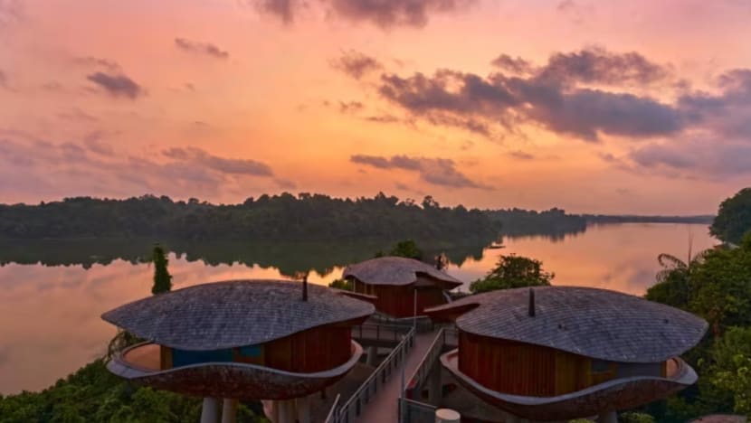Mandai Rainforest Resort dibuka pada Apr 2025 Mandai Rainforest Resort dibuka pada Apr 2025