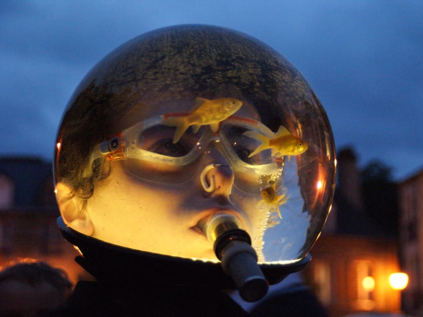 Experimental and eccentric under the stars as Night Festival returns