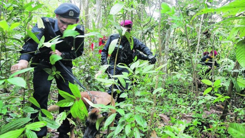 KOMENTAR: Bagaimana orang S'pura terjerumus menjadi anggota Jemaah Islamiyah?