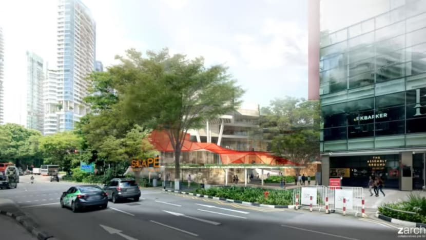 Idea belia diterapkan dalam pembangunan Somerset Belt