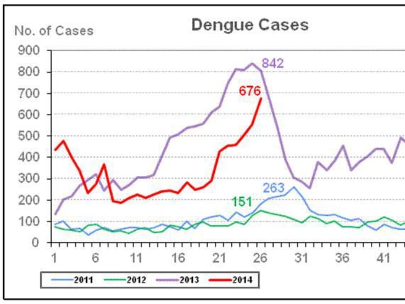 ‘Significant increase’ in dengue cases, with further rise likely: NEA