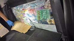 Related article image