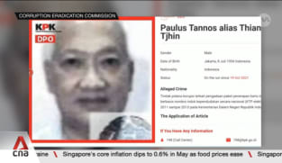 Day 1 of hearing of businessman wanted by Indonesia centres on evidence submitted after deadline 