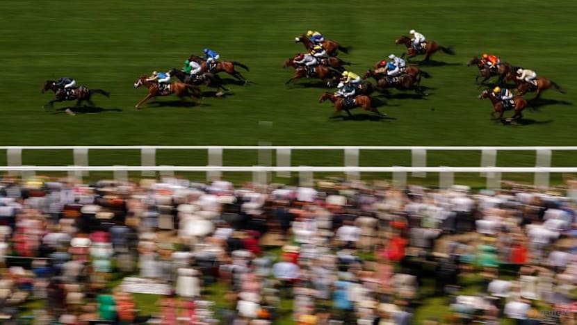 Why is British horse racing going on strike?