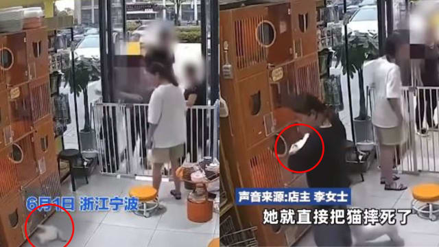 中国女子到宠物店退猫不果 竟当场举猫重摔致死
