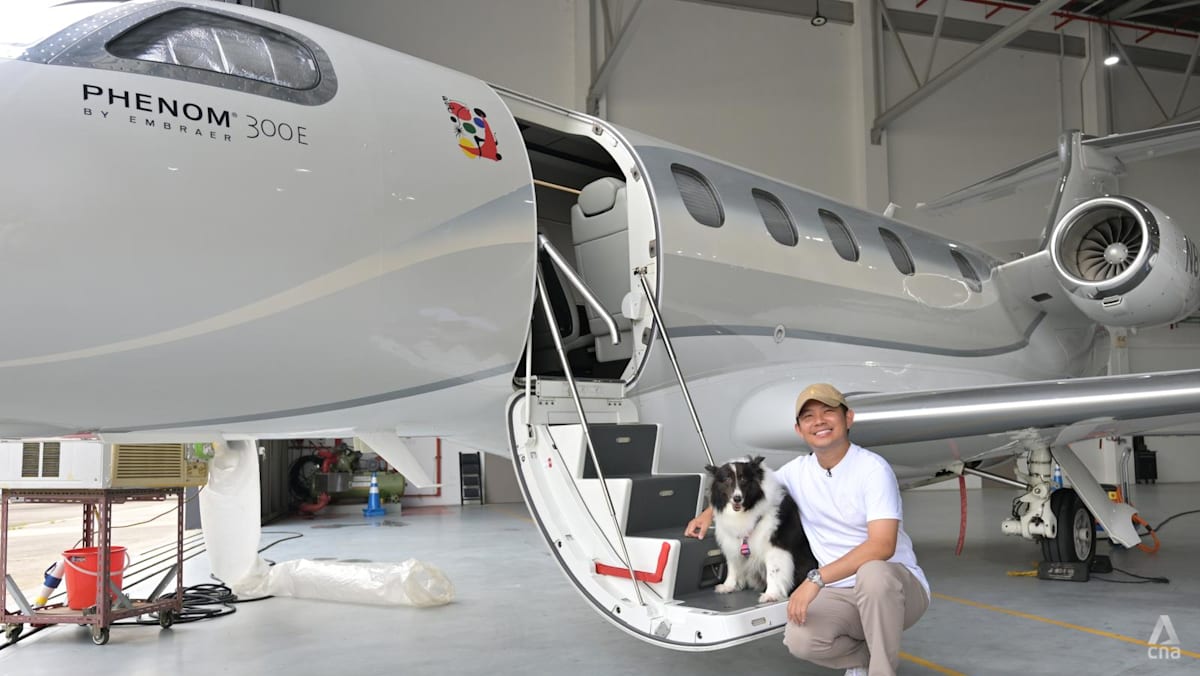 Luxury or necessity? Pet owners pay tens of thousands to fly on Singapore's first airline for animals