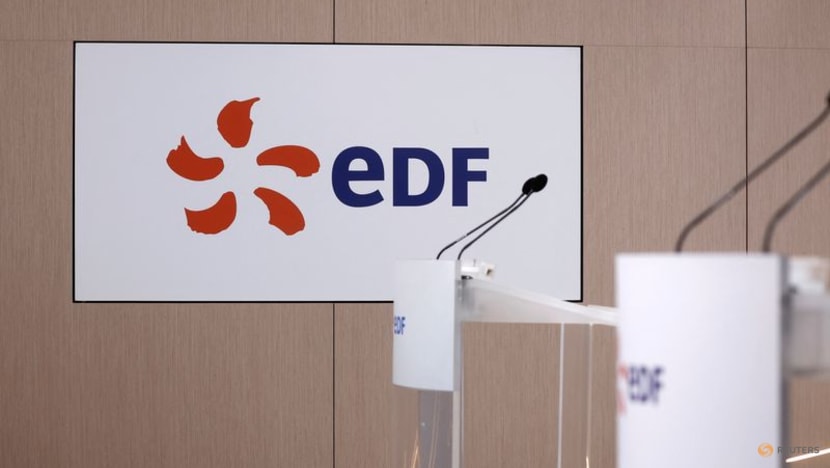 France's EDF identifies land for data centres - CNA