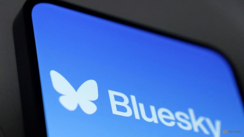 Bluesky CEO Jay Graber steps down, advisor Toni Schneider named interim chief