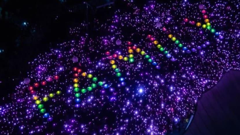 Penyokong masyarakat LGBTQ kumpul di acara Pink Dot pertama selepas pemansuhan 377A