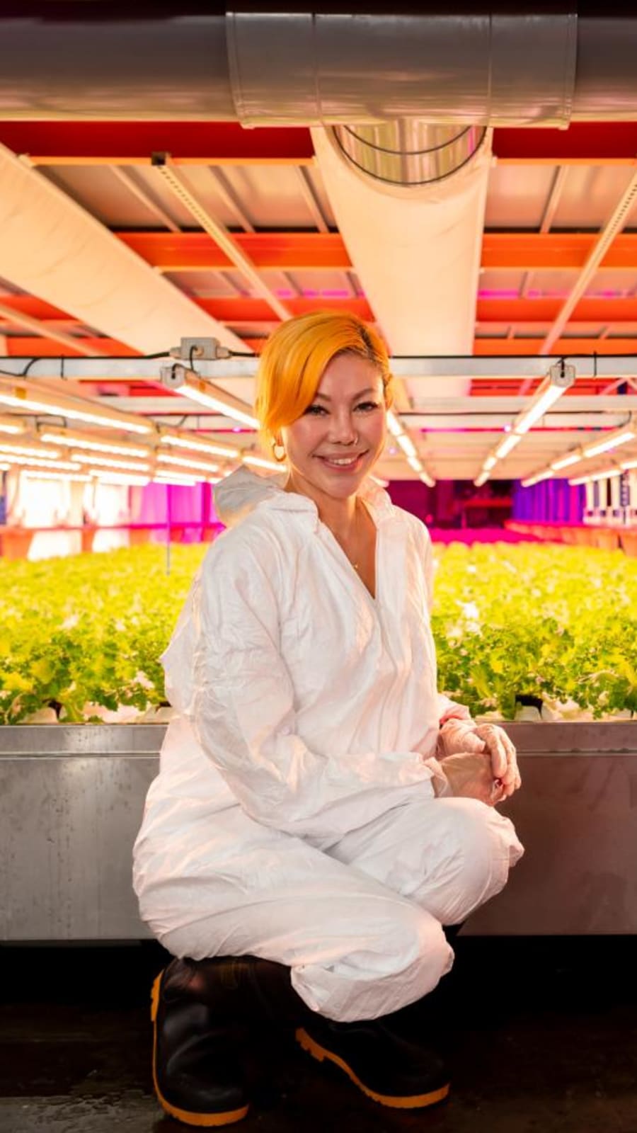 She built an indoor farm in Jurong to grow pesticide-free vegetables and is now fighting to save it