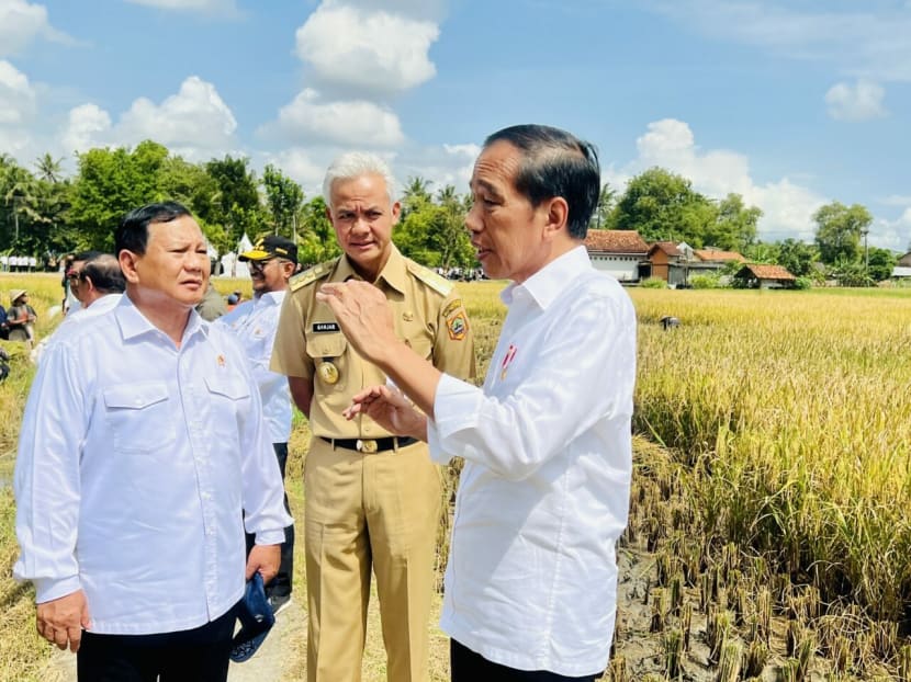 Indonesia election: Jokowi wants Pranowo, Subianto to run as a pair, says head of president’s supporter group