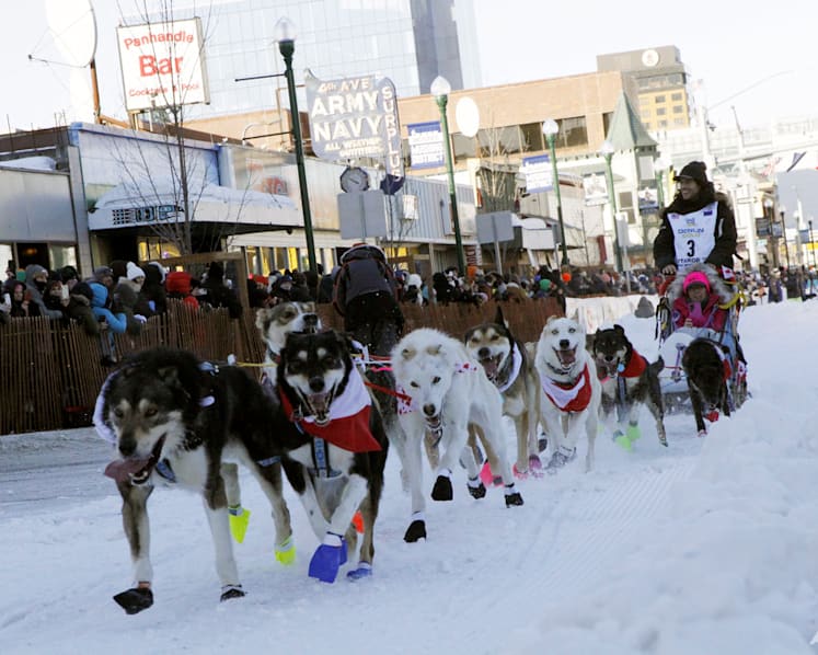 PETA calls for end to race after dogs die on 160km Iditarod in Alaska