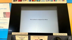Related article image