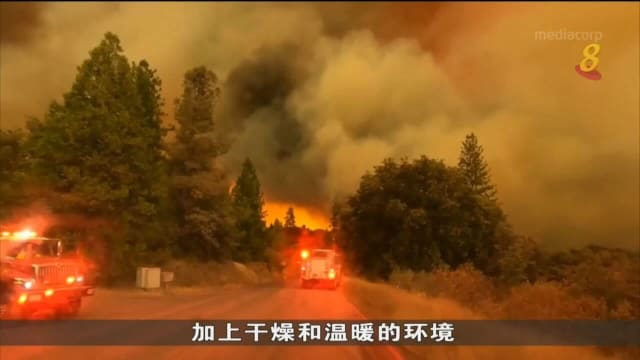 美国加州发生野火 火势以惊人速度蔓延