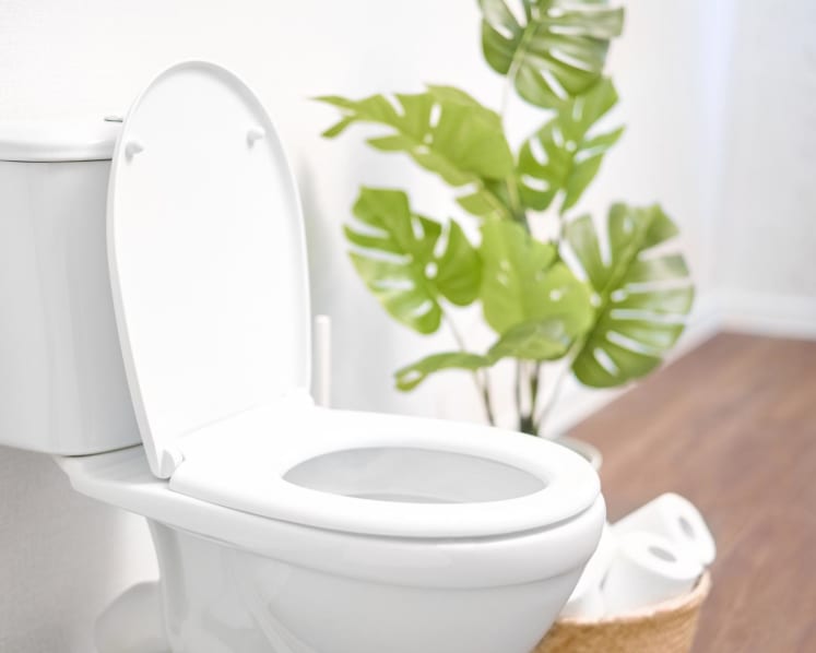 Is going to the bathroom 'just in case' bad for you?