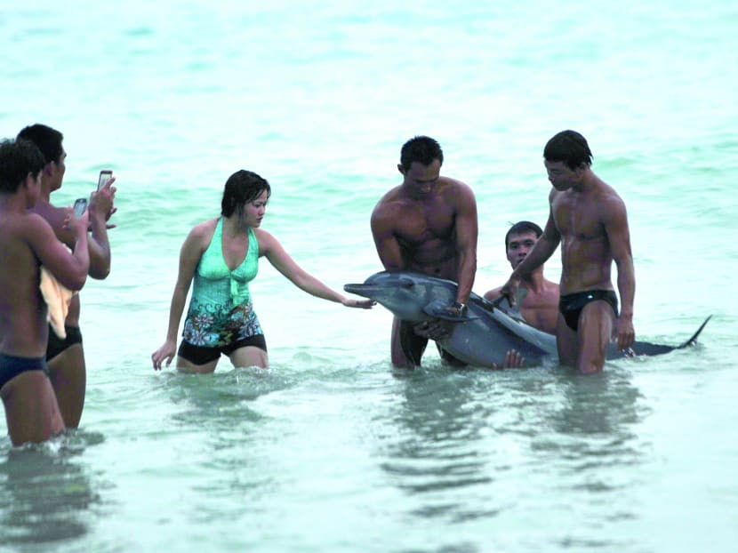 Excuse me, do you speak tourist?