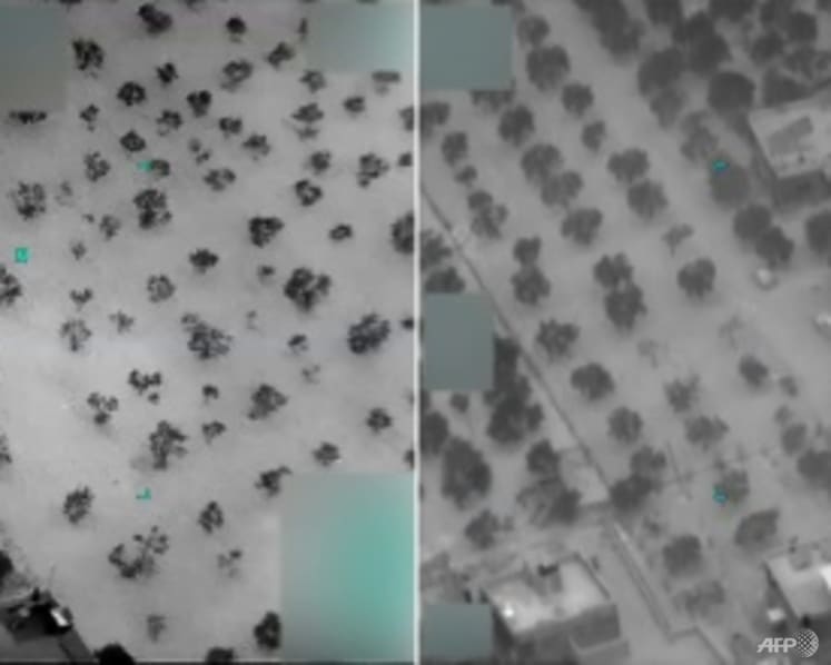 Death of Islamic State leader during US raid 'a significant development' against terrorism: MFA