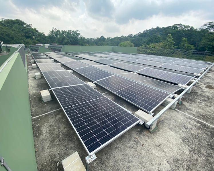 Mandai set to become first carbon-neutral precinct in Singapore by 2024