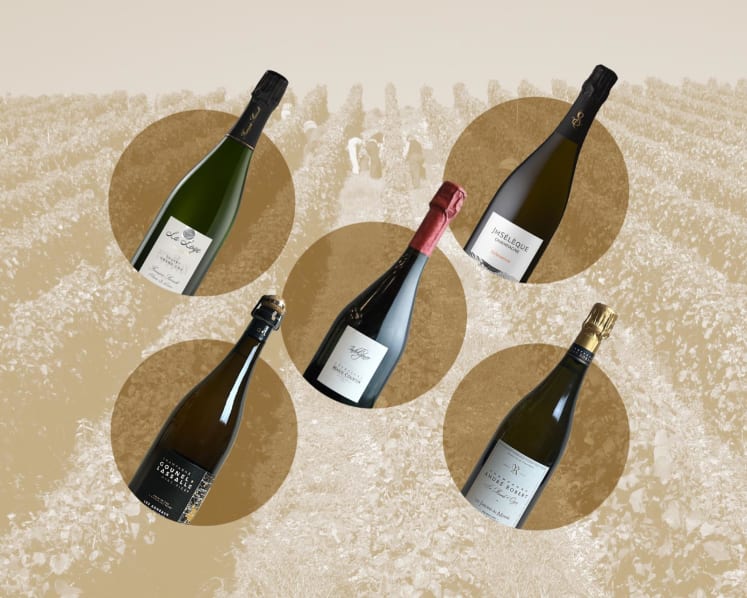 Grower champagnes: What makes these small-producer bottles special (and worth the hype)?