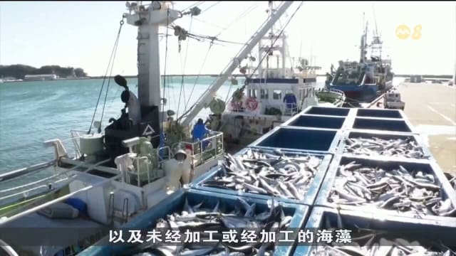 港府：日本一旦启动核废水排海计划 将禁止从当地进口海鲜产品