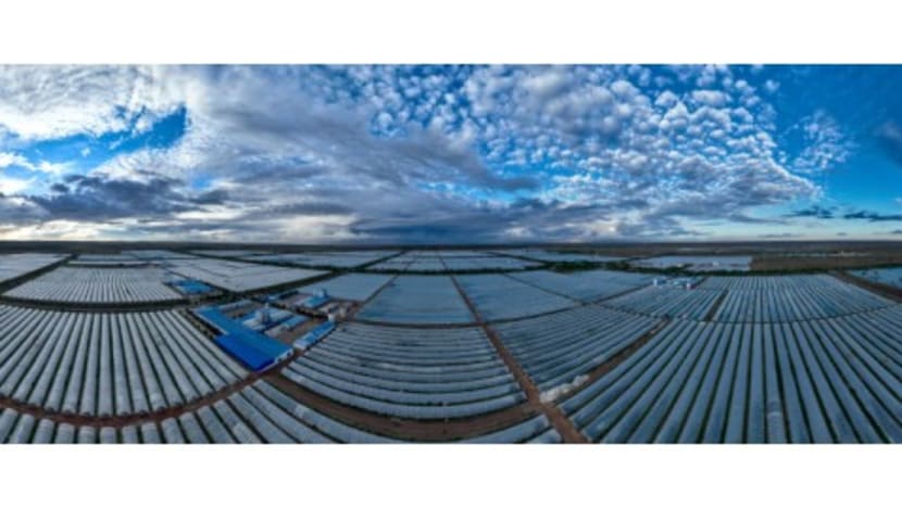 Chinese Spirulina Industry Expands Global Reach, Promoting Health and Nutrition Benefits Chinese Spirulina Industry Expands Global Reach, Promoting Health and Nutrition Benefits