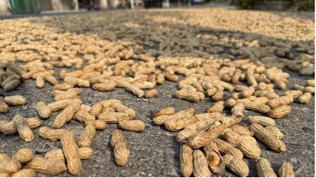 【城市呼吸｜卓明】在花花世界里静静的生活