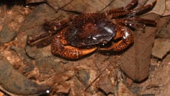 Related article image