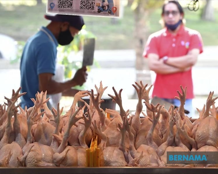 Malaysian chicken industry players say export ban will hurt business; urge government to review price ceiling