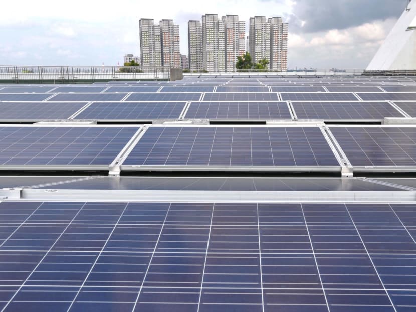 Commentary: Why youth should not overlook green jobs in traditional sectors Commentary: Why youth should not overlook green jobs in traditional sectors