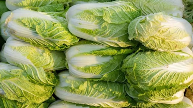 中国河北“甲醛白菜”事件延烧 韩国加强白菜进口检查
