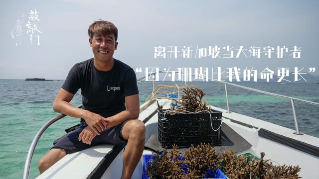 为保育珊瑚“蜗居”小村落  狮城男子乐当大海守护者 