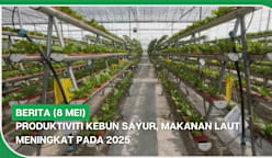 BERITA (8 Mei) | Produktiviti kebun sayur, makanan laut meningkat pada 2025