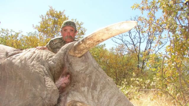 美国富豪猎人非洲狩猎 遭五头大象踩踏身亡