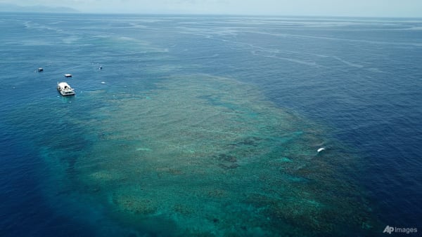 Man dies after shark attack at Australia’s Great Barrier Reef
