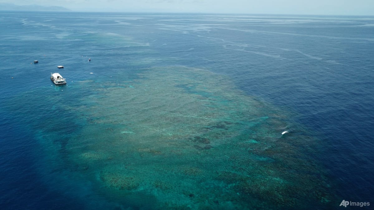 Man dies after shark attack at Australia's Great Barrier Reef